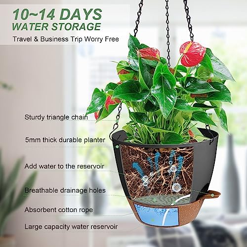 12 Inch Self Watering Hanging Planters for Indoor Outdoor Plants, 1 Pack - Image 2