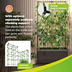BioGreen Raised Garden Bed City Jungle | 8.98 gal | 13“ x 24“ x 13“ | Including Water Tank | Self-Watering Planter Box | Ideal for Balcony/Terrace - Image 5