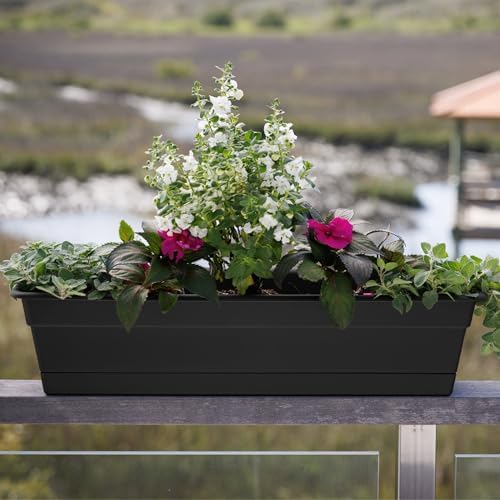 Bloem Dura Cotta 18" Plastic Window Box Planter with Saucer, Black, 3-Pack - Image 2