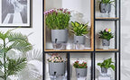 Self Watering Planter for Indoor Plants, 2 Pack 9.3 Inch Flower Pot Modern Decorative Plastic Planter with Extra Large Water Storage for All House Plants, Flowers, Herbs(Gray) - Image 4