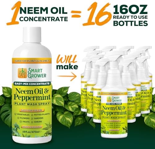 Neem Oil Spray for Plants with Peppermint Oil. Indoor & Outdoor Plant Use - Image 4
