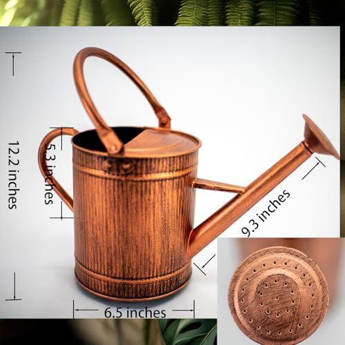 1 Gallon Copper Metal Watering Can, Removable Spout - Image 3
