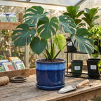 8 Inch Plant Pot: Ceramic Planter with Drainage Hole & Saucer - Flowerpot for Indoor & Outdoor Plants with Separate Tray for Home & Office - Blue - Image 6