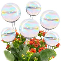 Tomorotec Glass Plant Watering Globes, Self Watering Spikes 3 Large+3 Small by Tomorotec