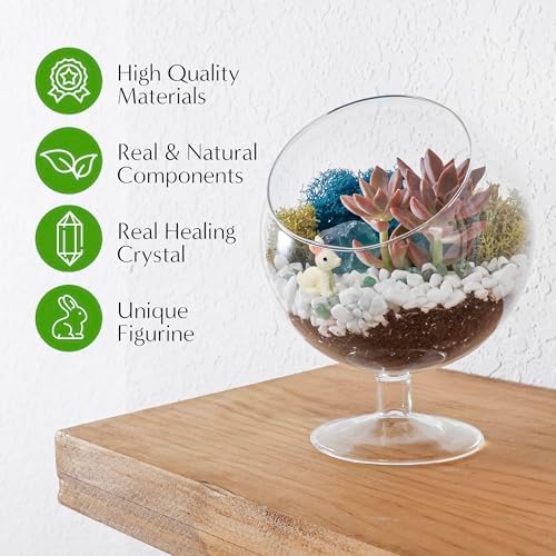Creations by Nathalie DIY 6" Chalice Terrarium Kit Build Your Own Glass Terrarium for Adults & Teens, DIY Terrarium Kit with Live Moss, Crystals, Soil (Plant Not Included) - Image 3