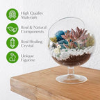 Creations by Nathalie DIY 6" Chalice Terrarium Kit Build Your Own Glass Terrarium for Adults & Teens, DIY Terrarium Kit with Live Moss, Crystals, Soil (Plant Not Included) - Image 3