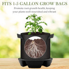 5-Pack 12" Self Watering Pots for Indoor Plants, Plastic Plant Saucer, Bottom Plant Water Catcher Tray, Indoor/Outdoor Greenhouse Garden Auto-Irrigation System for 5 Gallon Fabric Grow Bag - Image 3
