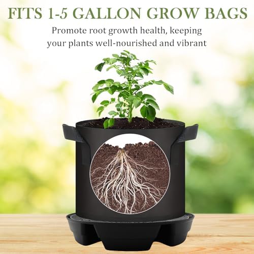 5-Pack 12" Self Watering Pots for Indoor Plants, Plastic Plant Saucer, Bottom Plant Water Catcher Tray, Indoor/Outdoor Greenhouse Garden Auto-Irrigation System for 5 Gallon Fabric Grow Bag - Image 3