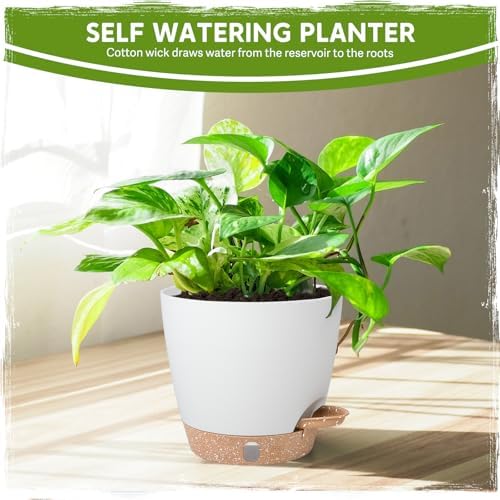 Self-Watering Pots for Indoor Plants with Visible Water Window,5/6/6.5/8/10 Inch Outdoor Flower Pots with Drainage Holes & Reservoir for Patio, Home Decor (White) - Image 6