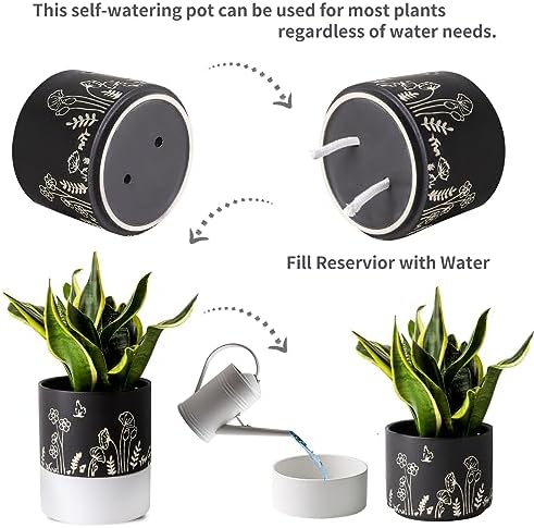 Nihow Self Watering Pots for Indoor Plants,6 Inch,Black,Hand Painting - Image 3