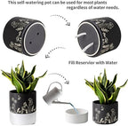 Nihow Self Watering Pots for Indoor Plants,6 Inch,Black,Hand Painting - Image 3