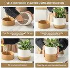 HASENSE Self Watering Plant Pot, 6 Inch Porcelain Planter with Drainage Hole and Saucers for Indoor & Outdoor Plants, Round Flower Pots for Houserwarming Gift, White - Image 4