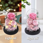 Casaido Preserved Roses Flowers for Delivery, Mothers Day Rose Gifts for Her, Pink Forever Flores in Glass Dome for Women Mom Wife Grandma, Anniversary Birthday Rose for Vanlentines Day Christmas - Image 4