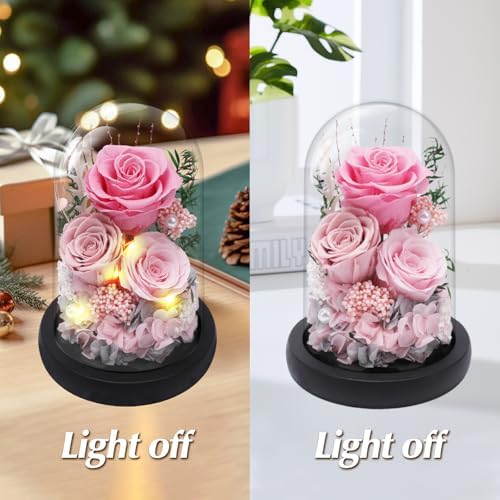 Casaido Preserved Roses Flowers for Delivery, Mothers Day Rose Gifts for Her, Pink Forever Flores in Glass Dome for Women Mom Wife Grandma, Anniversary Birthday Rose for Vanlentines Day Christmas - Image 4