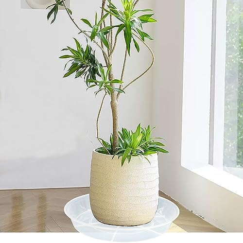 4 Pack Plant Saucer Drip Tray 18 19 inch, Plant Drip Trays, Heavy Sturdy Plastic Planter Pot Saucers for Indoor Outdoor Garden, Plant Water Drip Trays for pots (19" 4Pack, Clear) - Image 5