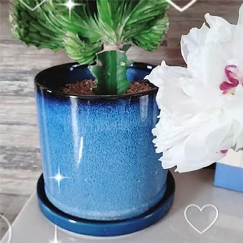 Ceramic Flower Pot Saucers, 9 Inch Plant Pot Saucers for Indoors Plants, Plant Trays for Pots Holding Water Drips and Soil, Drainage Tray for Plant Pot (Blue) - Image 6