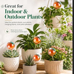 Plant Watering Globes, Gradient Color Glass 9 oz Self Watering Globes - Image 3