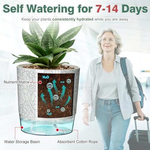 6 Pack Self Watering Pots for Indoor Plants, 4+5.5+6.3 Inch Self Watering Plant Pots Set, Flower Pots with Wick Rope and Reservoir for African Violet, Spider Plant, Orchid - Crack Texture - Image 3
