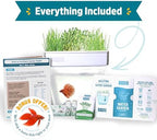 Back to the Roots Indoor Aquaponic Garden - 3 Gallon Self Watering, Mess-Free Planter and Self-Cleaning Fishtank for Herbs, Microgreens, Bamboo, Succulents, and Houseplants, support Fish - Image 6
