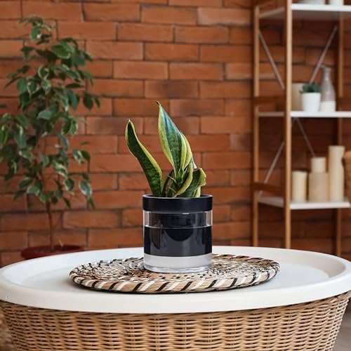 Phoenix Vine 6 Inch Self Watering Planter Pot, Black Terracotta Clay Pot with Glass Reservoir for Indoor Plants, Herbs, Flowers, Set of 2, 52-C-F-2 - Image 6