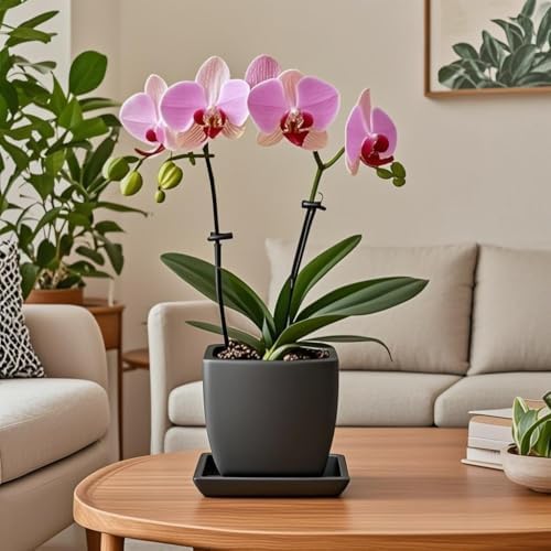 Square Ceramic Plant Saucer Tray 2 Pcs 6 7 8 Inch Black, 8" OD x6.7 ID x1.2 Deep, Sturdy Heavy Duty Glazed Planter Drip Flower pots with Catch Basin for Indoor Outdoor Plants(8" Black) - Image 6