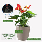 Dexceder 13x12 Self Watering Planter with Wheels (Taupe Matte) - Image 5