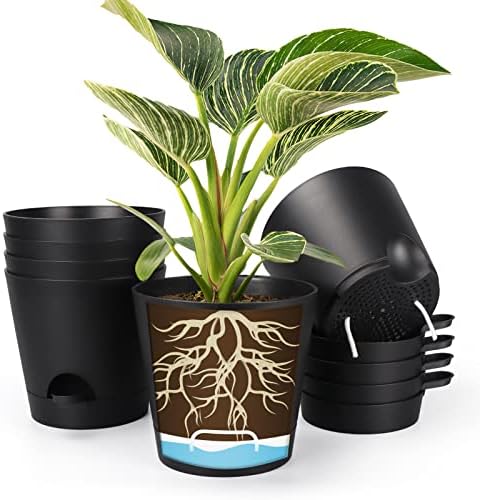 8 Inch Self Watering pots for Indoor, 6 Pack Plastic Plant Pots with Drainage Holes, Black by SPEPLA