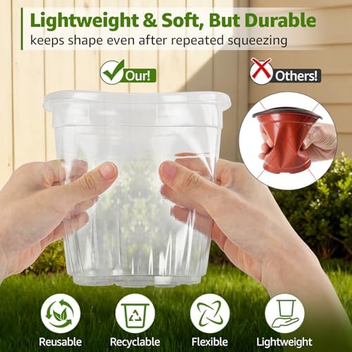 MIXC Clear Nursery Pots with Drainage Hole & Sacuer, 6/8/10/12Inch, 20 Pack - Image 2
