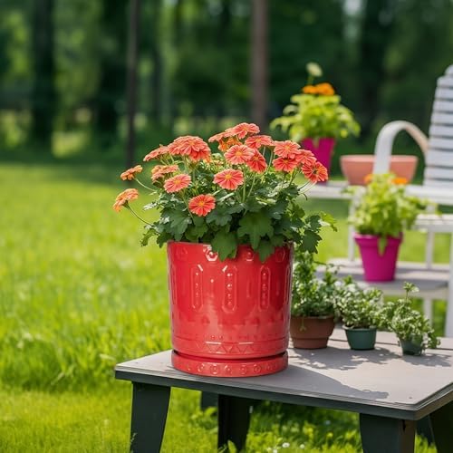 Eightpot Plant Drip Trays 9.3 Inch, Ceramic Plant Saucer, Plant Saucers for Indoorss Outdoors, Round Plants Plates to Catch Water, Modern Plant Pot Tray, Decorative Plants Dishes to Catch Water, Red - Image 4
