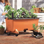 EarthBox Garden Kit,Terracotta (Pack of 2, Standard) - Image 6