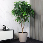Dexceder 15x14 Self Watering Planter with Wheels (Taupe Matte) - Image 6
