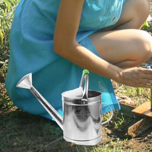 Vintage Stainless Steel Garden Watering Kettle 5l Silver for Bonsai Xmas - Image 4