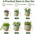 Plant Pots for Indoor 9/8/7/6.5/6/5 Inch, Self Watering Planter Pots with Drainage Holes and Saucers, 6Pcs Plastic Flower Pots for Indoor & Outdoor Plants（Green） - Image 2
