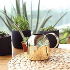 500 ml Stainless Steel Watering Can, Watering Can with Long Spout, for Indoor and Outdoor Indoor Plants (Gold) - Image 6