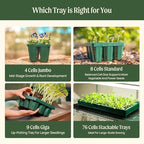 Vego garden Ultimate Seed Starting Bundle, 2Packs Giga,8 Pack Jumbo,8 Pack Standard Seedling Trays with Seedling Tray Lids and 10" x 20" Bottom Watering Trays - Image 5