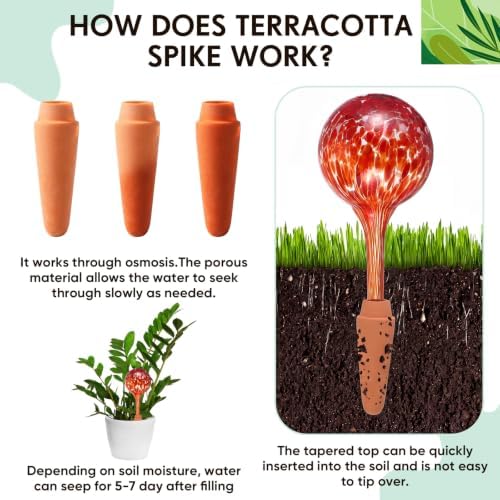 Mifoci 6 Set Plant Watering Devices, 6 Glass Water Bulbs with 6 Terracotta Water Spikes for Plants and 2 Funnels, Plant Watering Globes Set for Indoor and Outdoor Garden - Image 4