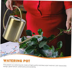 Garden Watering Pot 2000ml Stainless Steel Long Spout for Home - Image 5