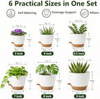 Plant Pots for Indoor 9/8/7/6.5/6/5 Inch, Self Watering Planter Pots with Drainage Holes and Saucers, 6Pcs Plastic Flower Pots for Indoor & Outdoor Plants（White） - Image 3