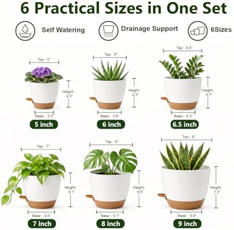 Plant Pots for Indoor 9/8/7/6.5/6/5 Inch, Self Watering Planter Pots with Drainage Holes and Saucers, 6Pcs Plastic Flower Pots for Indoor & Outdoor Plants（White） - Image 3