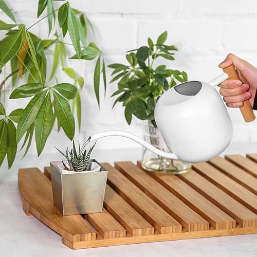 Long Spout Watering Can Kettle 1200ml Stainless Steel Vintage - Image 5