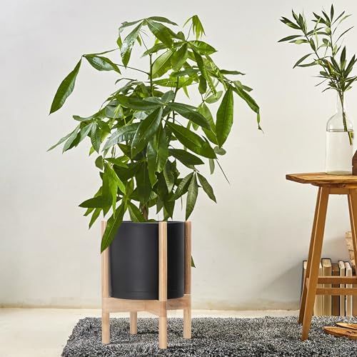 D'vine Dev Plastic Pot with Natural Wood Stand, Black, 10 in, 55-C-M-2 - Image 4