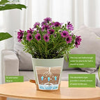 Plant Pots 6 PCS 5 inch Self Watering Planters High Drainage Flowers Pot for Indoor Outdoor Plants with Reservoir Tray and Watering Lip Gardening Planter Garden Flower Pots, Green (Pack of 2) - Image 4