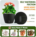 Self-Watering Pots for Indoor Plants, 8-Pack Self Watering Planter with Drainage Holes, Small African Violet Pots with Water Indicator, 5-Pack 5''/3-Pack 6.7'' Orchid Pot, Black - Image 3