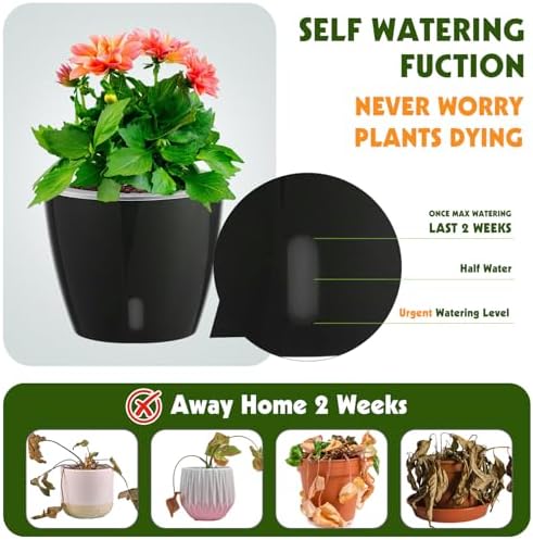 Self Watering Pots for Indoor Plants, 12-Pack 5'' Self Watering Planter with Drainage Holes, Small African Violet Pots with Water Level Indicator, Clear Wick Pot, Black - Image 2