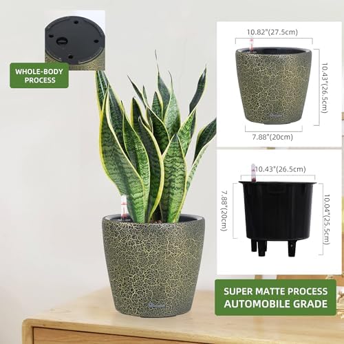 Dexceder 11x10 Self Watering Planter (Black Gold Crackle) - Image 3