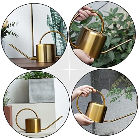 GALPADA Stainless Steel Watering Kettle Long Spout Sturdy 1L Watering Can for Indoor and Outdoor Plants Practical Garden Tool for Plant Care - Image 6