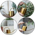 GALPADA Stainless Steel Watering Kettle Long Spout Sturdy 1L Watering Can for Indoor and Outdoor Plants Practical Garden Tool for Plant Care - Image 6