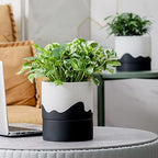 Nihow Ceramic Self Watering Plant Pot for Indoor Plants,6 Inch,White Black - Image 5