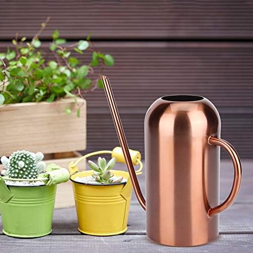 Stainless Steel Watering Can with Long Spout for Indoor Plants - Image 3