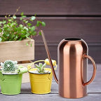 Stainless Steel Watering Can, 1.5L/53oz Small Watering Can Indoor Plants with Long Spout Outdoor Watering Can Pot Modern Style Plant Watering Can for Garden Flower Decorative - Image 5